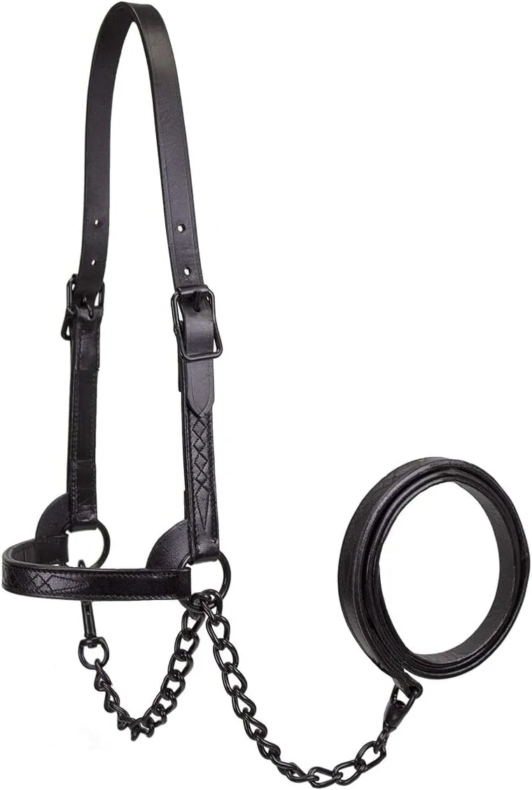 Derby Originals Black Midnight All Black Premium Flat Fancy Stitch Leather Cattle Show Halter with Matching Chain Lead