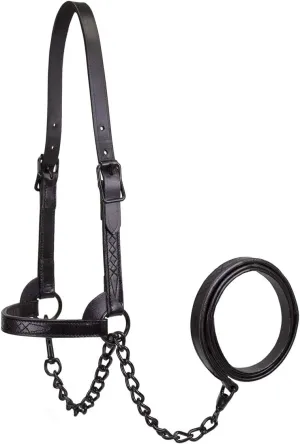 Derby Originals Black Midnight All Black Premium Flat Fancy Stitch Leather Cattle Show Halter with Matching Chain Lead