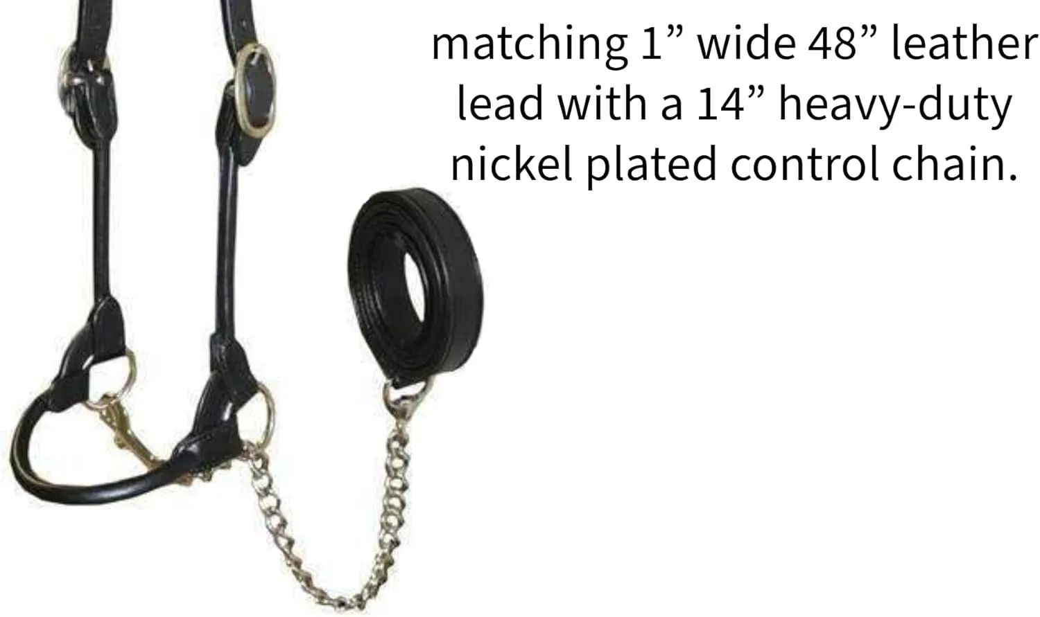 Derby Originals New and Improved Premium Round Rolled Leather Cattle Show Halter with Matching Chain Lead