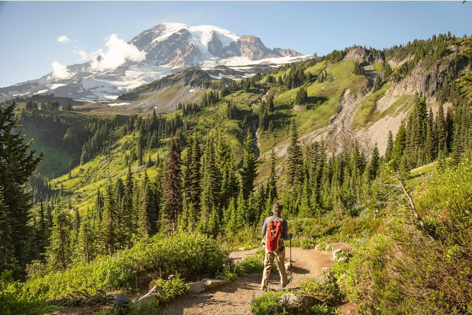 FITS Mountain Top Crew Light Hiker For Men and Women, Merino Wool, Breathable, Odor Resistant, Whole Foot Comfort