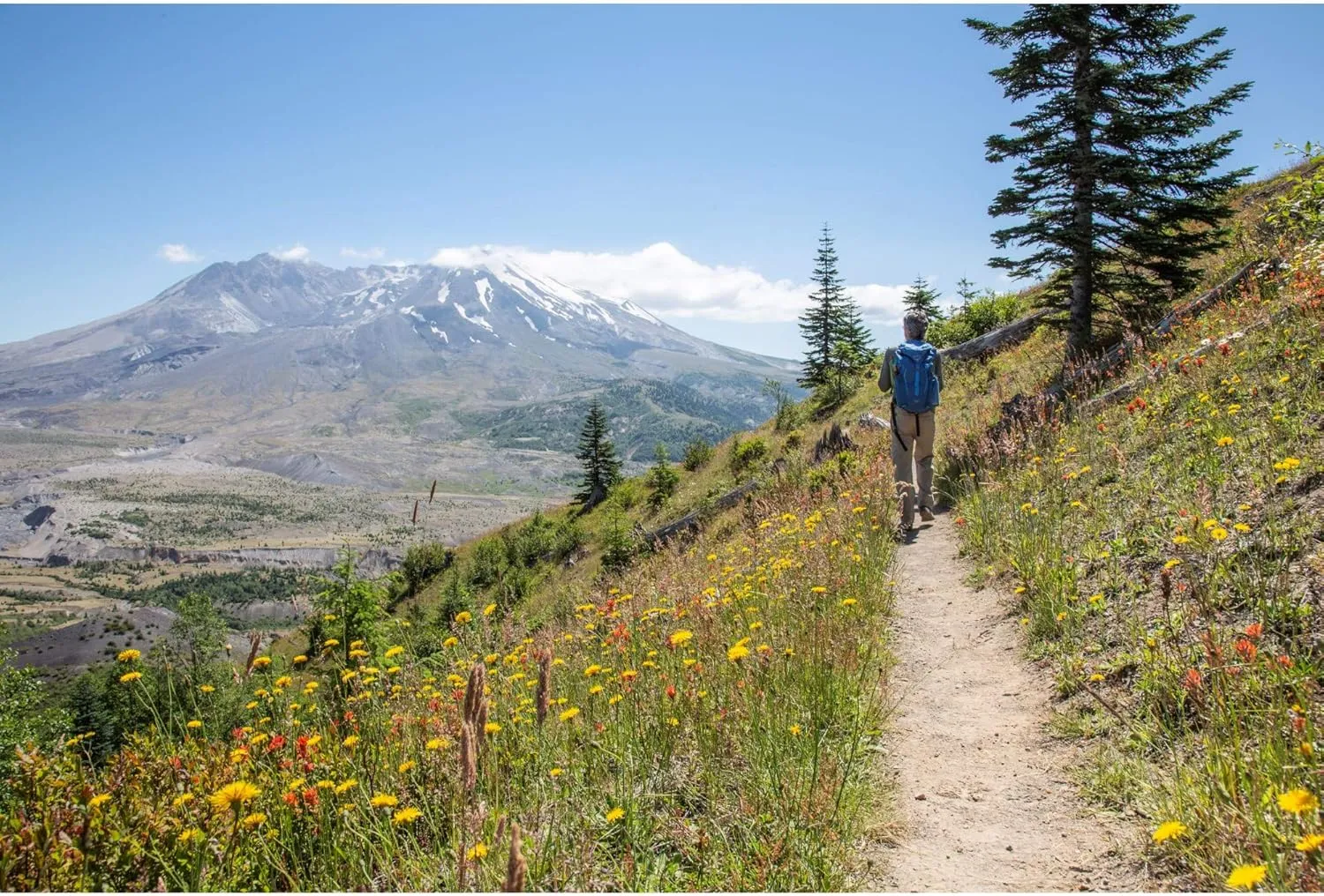FITS Mountain Top Crew Light Hiker For Men and Women, Merino Wool, Breathable, Odor Resistant, Whole Foot Comfort