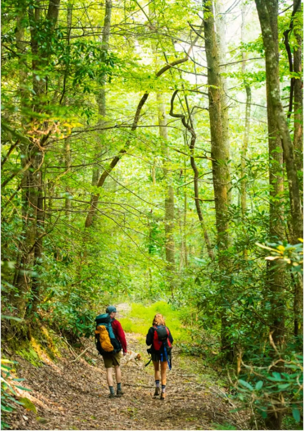 FITS Mountain Top Crew Light Hiker For Men and Women, Merino Wool, Breathable, Odor Resistant, Whole Foot Comfort