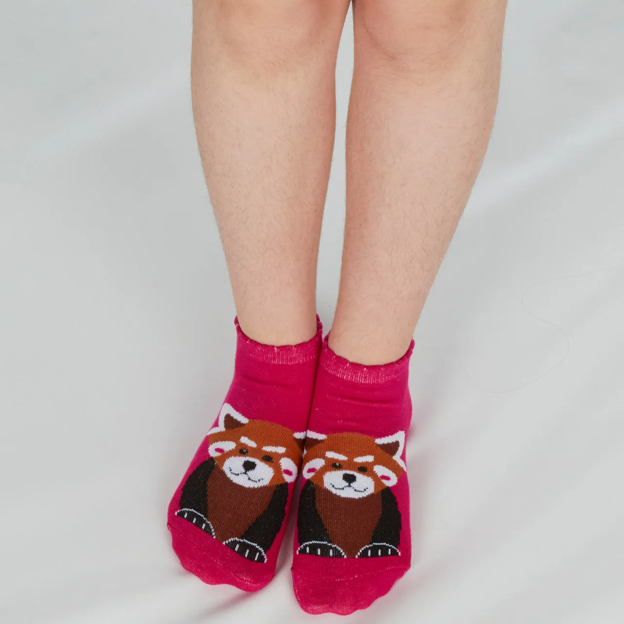 Girls Ankle Socks Flamingo Red Panda 6 Pairs