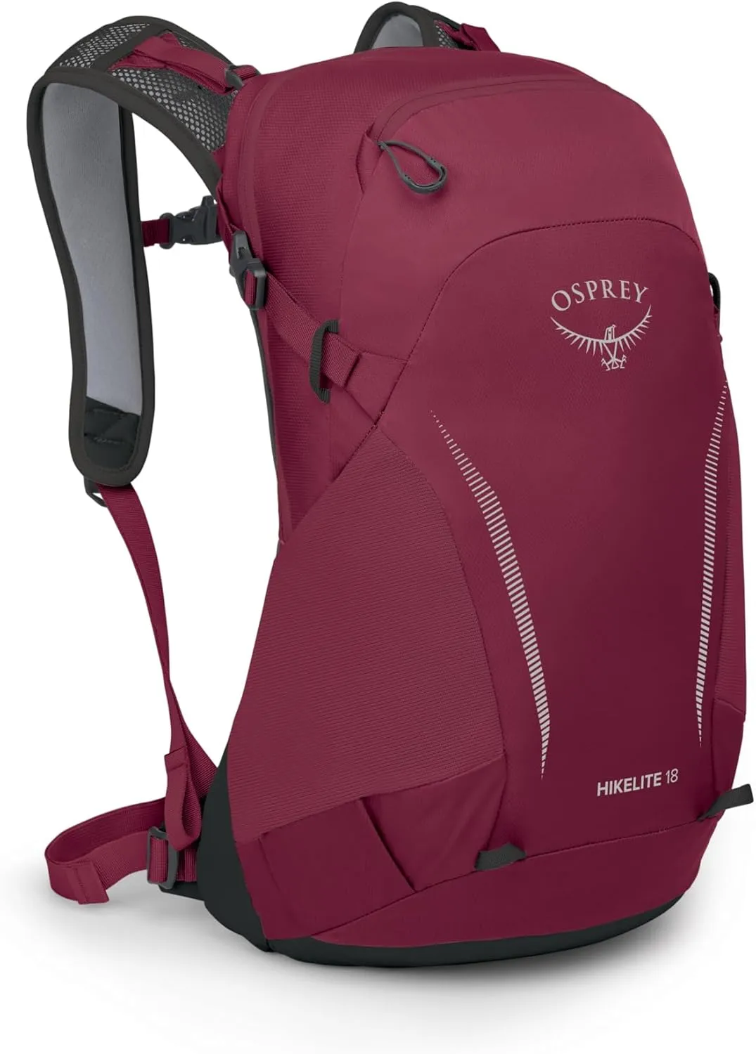 Osprey Hikelite 18L Unisex Hiking Backpack, Chameleon/Black