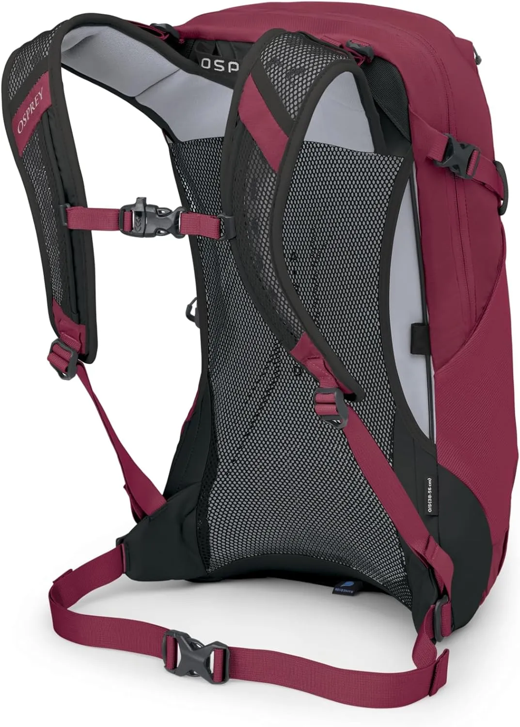 Osprey Hikelite 18L Unisex Hiking Backpack, Chameleon/Black