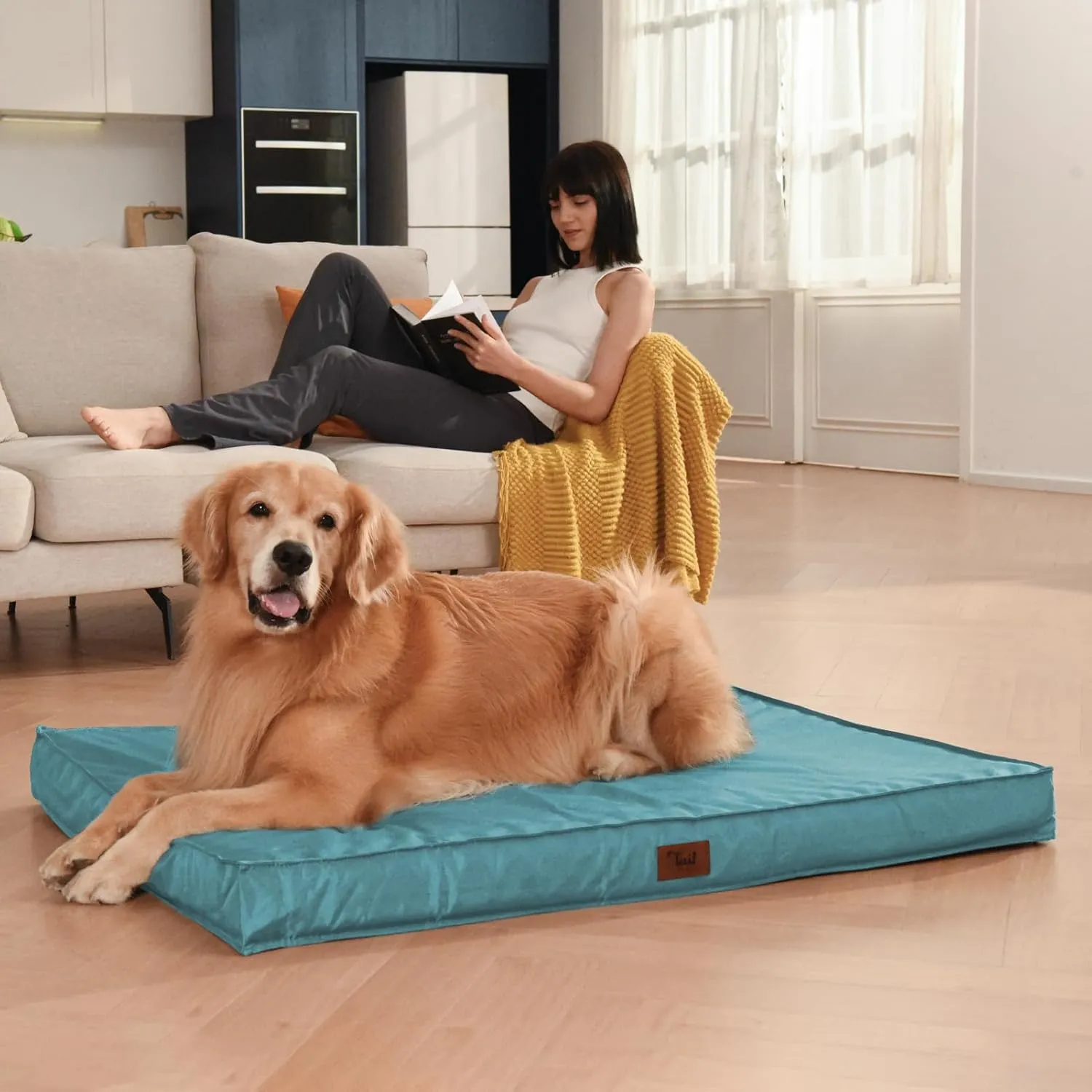 Outdoor Large Dog Bed, Waterproof Dog Bed for Large Dogs, Egg Crate Foam Pet Bed with Removable Washable Oxford Cooling Cover, Light Blue