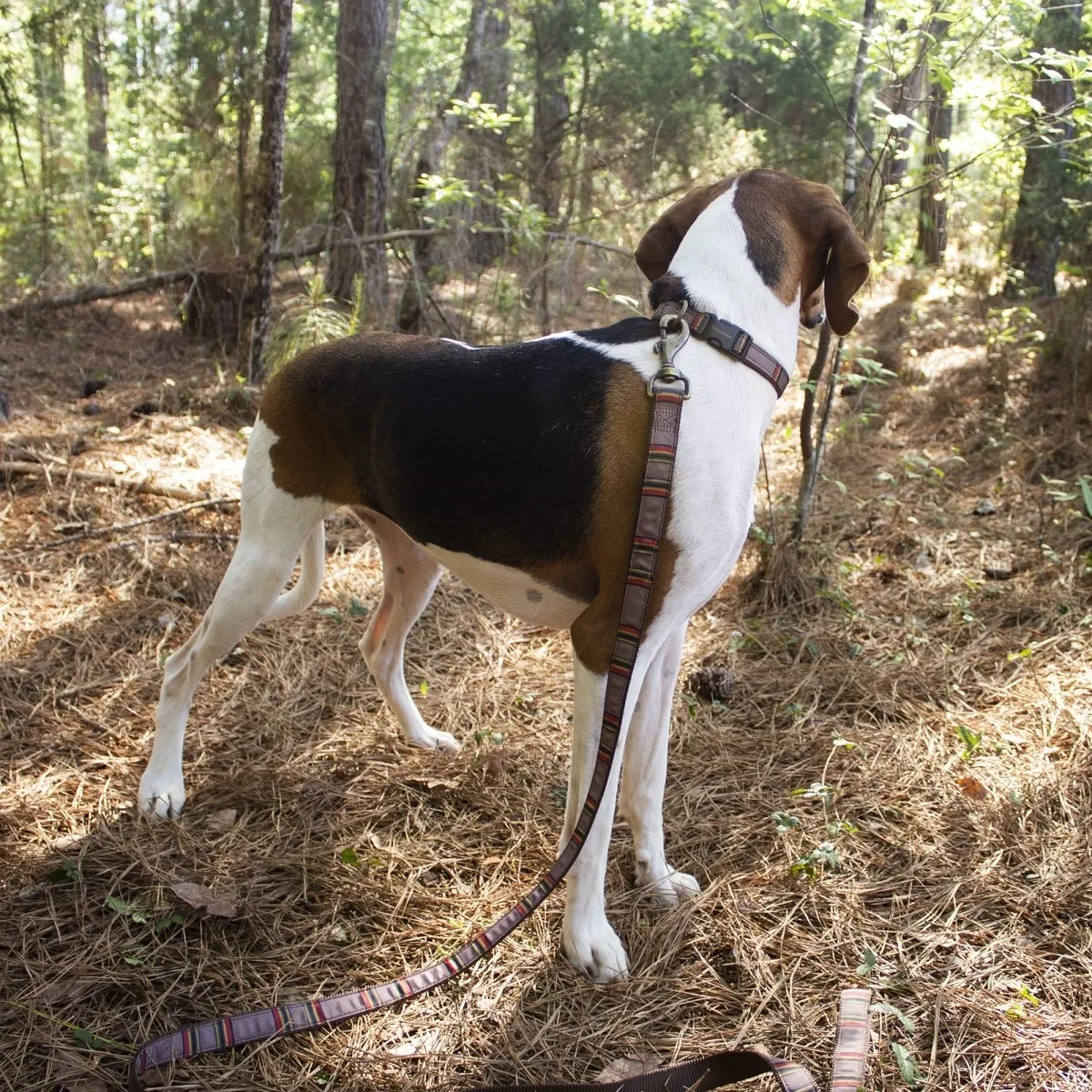 Pendleton National Park Hiker Collar