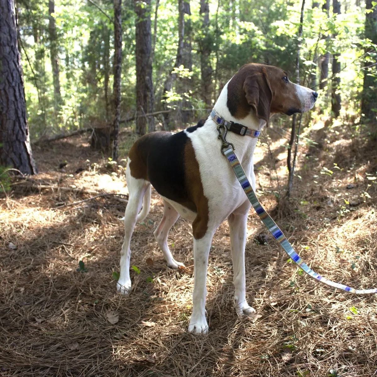 Pendleton National Park Hiker Collar