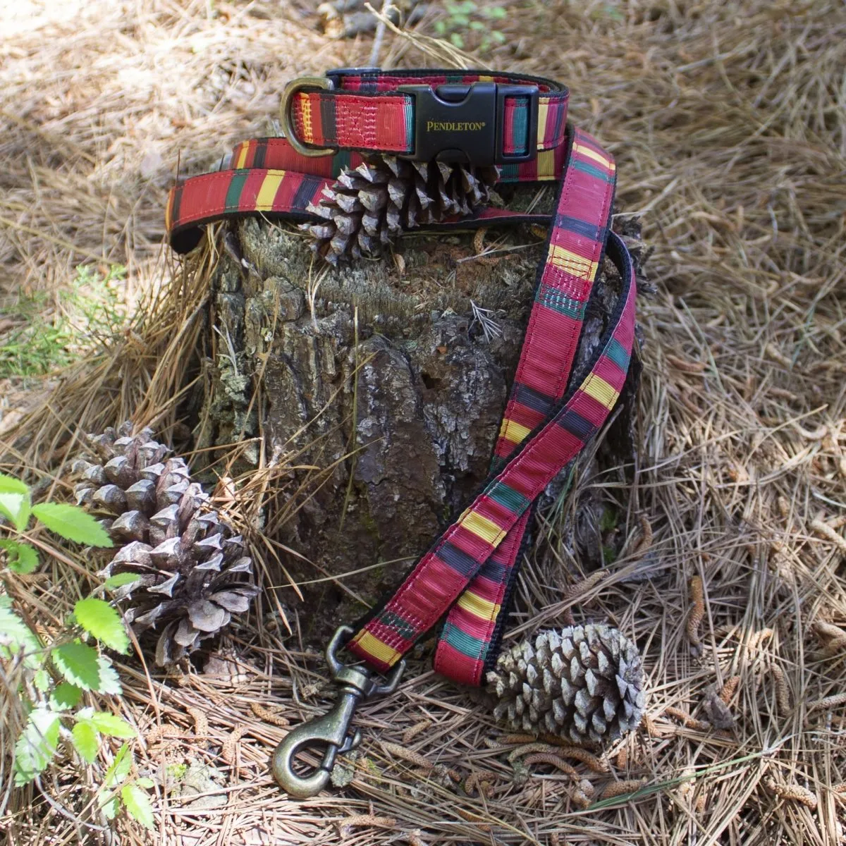 Pendleton National Park Hiker Collar