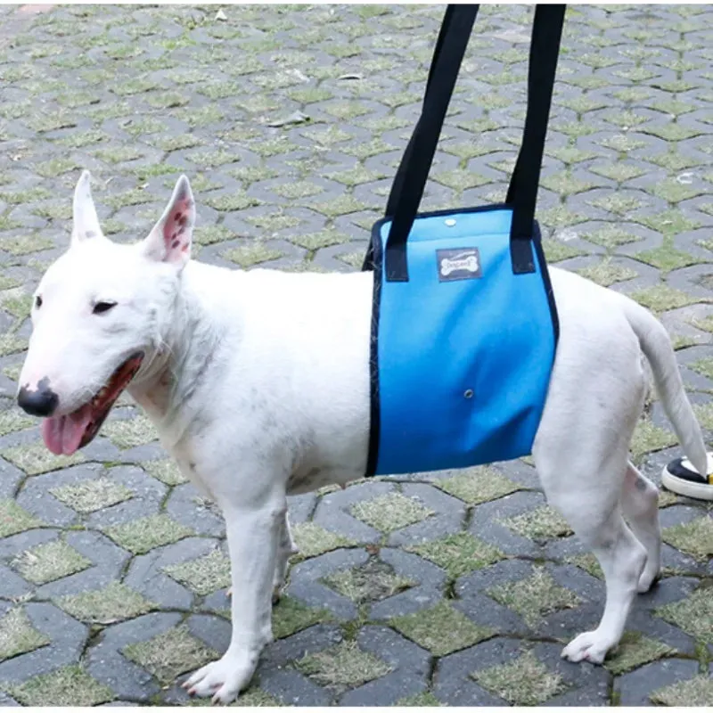 Portable Dog Sling Hip Support Harness for Rehabilitation