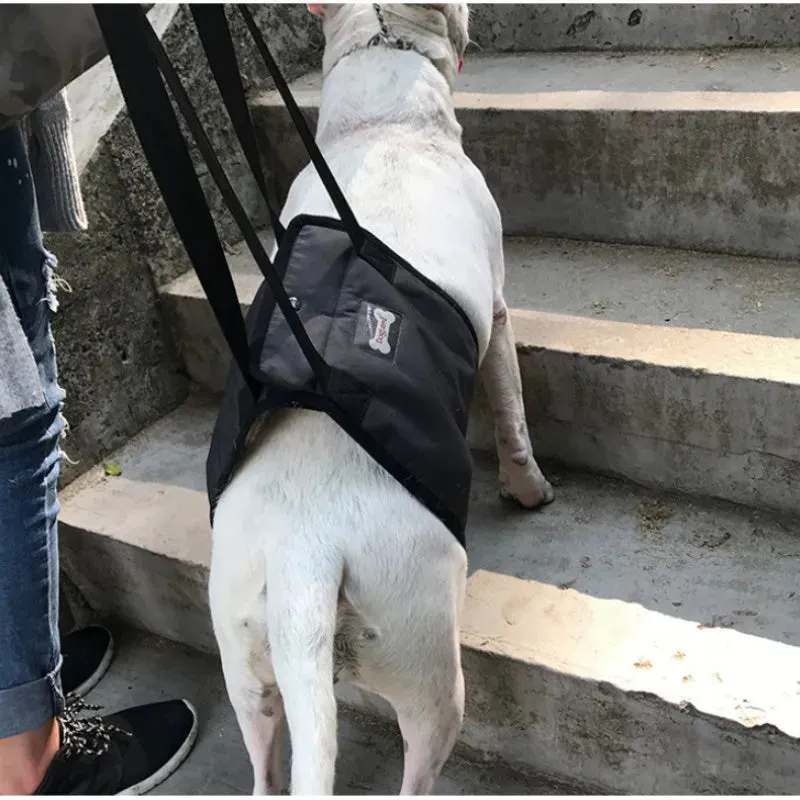 Portable Dog Sling Hip Support Harness for Rehabilitation