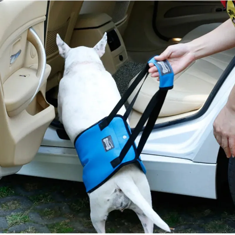 Portable Dog Sling Hip Support Harness for Rehabilitation