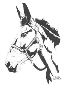 Sweatshirt - Haltered Mule Head