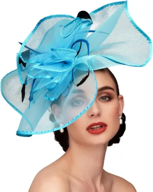 TS Fascinators Hat with Mesh Feather Hair Clip Tea Party for Wedding Cocktail Party Halloween Special Occasion