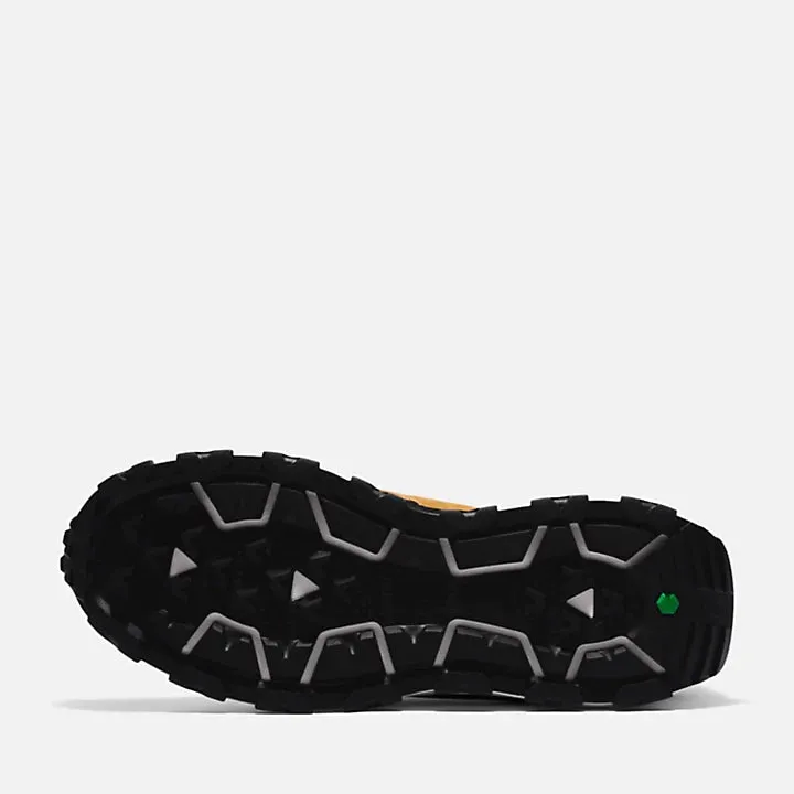 Winsor Trail Sneaker For Men
