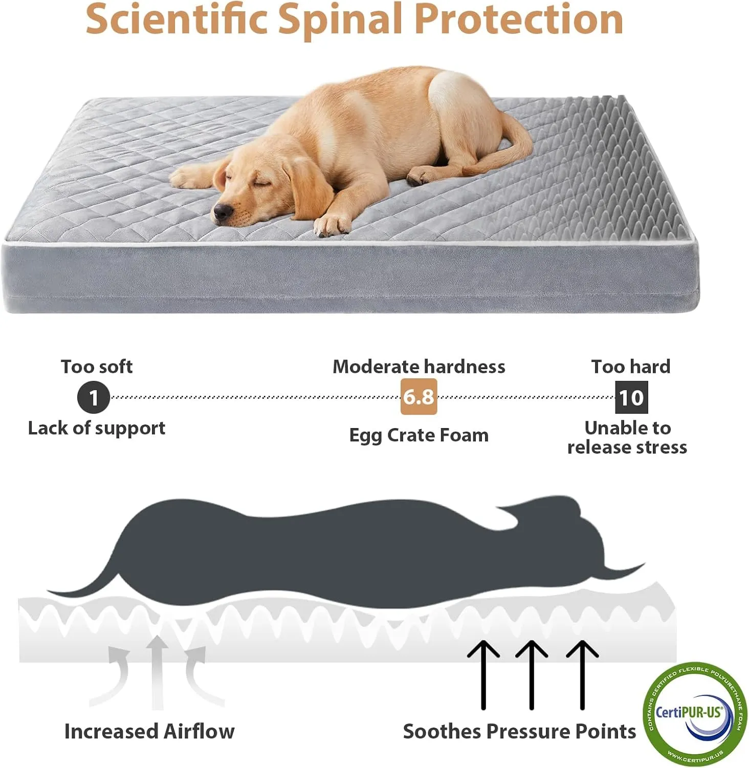 WNPETHOME Orthopedic Dog Beds for Large Dogs, Extra Large Waterproof Dog Bed with Removable Washable Cover, Egg Crate Foam Pet Bed, XL Dog Crate Bed