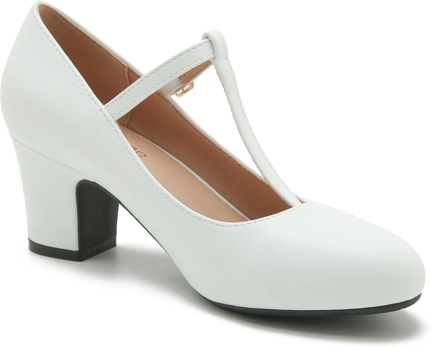 Women's T-Strap Mary Jane Pumps Closed Toe Low Block Chunky Heels Ankle Strap Wedding Business Dressy Evening Party Shoes